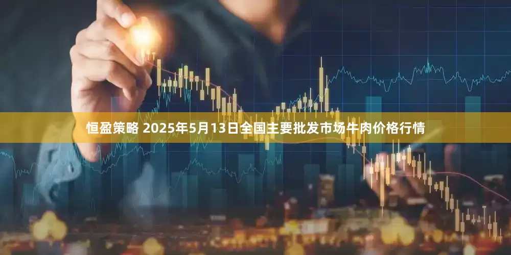 恒盈策略 2025年5月13日全国主要批发市场牛肉价格行情